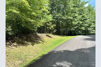 Tbd/Lot 48 Woodland Valley Road, Jefferson, NC 28640 - Photo 1