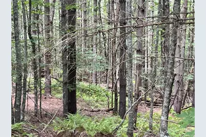 Tbd/Lot 48 Woodland Valley Road, Jefferson, NC 28640 - Photo 2