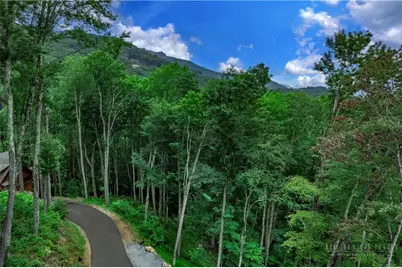 V-66 Featherstone Trace, Banner Elk, NC 28604 - Photo 2