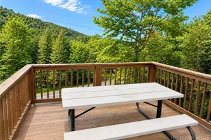 101 Hornbeam Rd, Banner Elk, NC 28604 - Photo 12