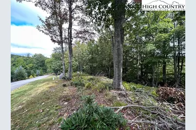 405 Firethorn Trail, Blowing Rock, NC 28605 - Photo 4
