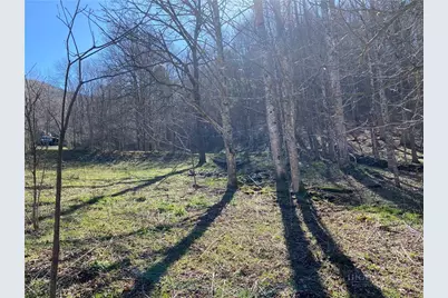 Lot 4 Larkspur Trail, Banner Elk, NC 28604 - Photo 4