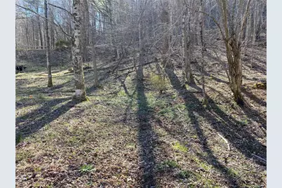 Lot 5 Larkspur Trail, Banner Elk, NC 28604 - Photo 6