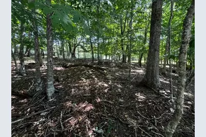 208 Pine Ridge Road, Beech Mountain, NC 28604 - Photo 6