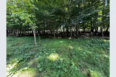 208 Pine Ridge Road, Beech Mountain, NC 28604 - Photo 4