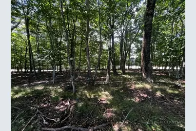 208 Pine Ridge Road, Beech Mountain, NC 28604 - Photo 8