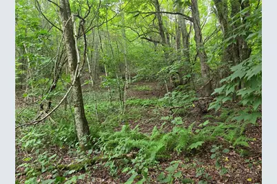 701 Pigeon Roost Road, Banner Elk, NC 28604 - Photo 16