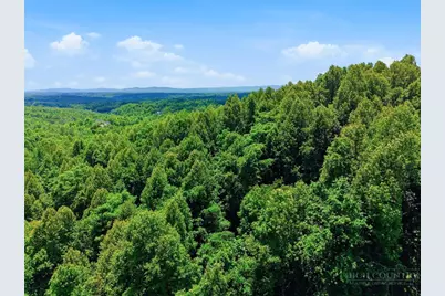 1288 Johns Ridge Parkway, Lenoir, NC 28645 - Photo 6