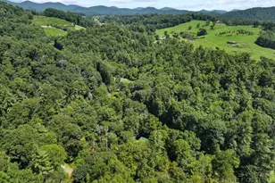 171 Grouse Covert Rd, Boone, NC 28607 - Photo 46