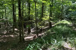 Tbd Maple Branch Rd, West Jefferson, NC 28694 - Photo 1
