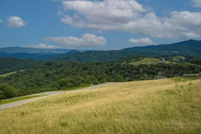 Lot 45 Foxfire Drive, Banner Elk, NC 28604 - Photo 8