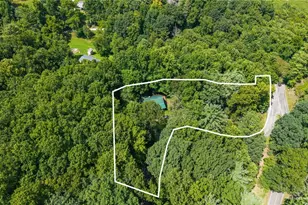 2417 Russ Norris Rd, Elk Park, NC 28622 - Photo 16