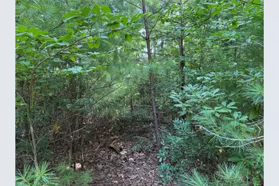 Lot 119 Rich Pine Drive, Purlear, NC 28665 - Photo 6