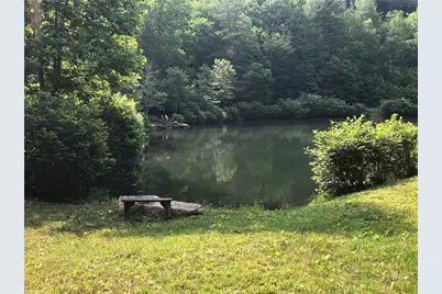 Lot 119 Rich Pine Drive, Purlear, NC 28665 - Photo 30