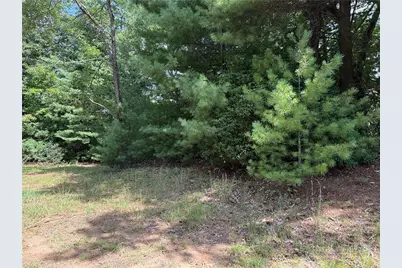 Lot 119 Rich Pine Drive, Purlear, NC 28665 - Photo 8