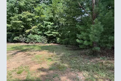 Lot 119 Rich Pine Drive, Purlear, NC 28665 - Photo 1