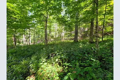 675 Clifton Springs Trl, Warrensville, NC 28693 - Photo 22