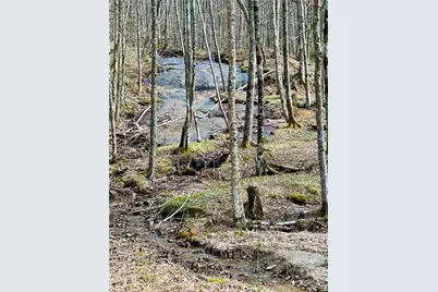 Es-61 Rippling Waters Trail, Banner Elk, NC 28604 - Photo 1