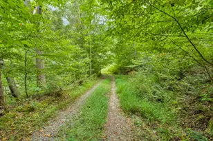 1768 Beaver Dam Rd, Vilas, NC 28692 - Photo 1