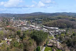 172 Park St, Boone, NC 28607 - Photo 4