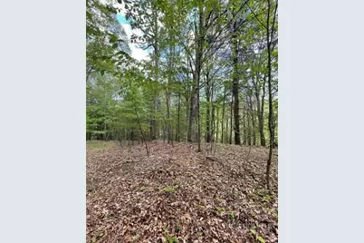 Tbd Edwin Blevins Road, Jefferson, NC 28640 - Photo 2