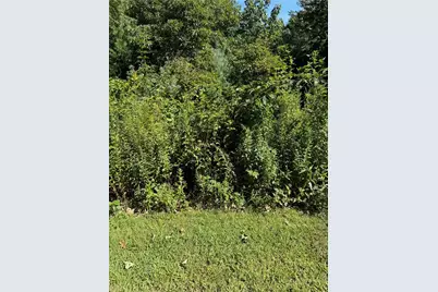 Lot 17 Parkway Pointe Drive, West Jefferson, NC 28694 - Photo 2