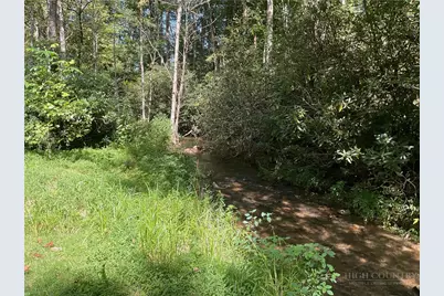 636 Dark Hollow Road, Elk Park, NC 28622 - Photo 26