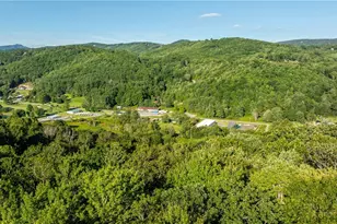 634 Stover Ridge, Newland, NC 28657 - Photo 4