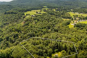 276 Storie Rd, Boone, NC 28607 - Photo 48