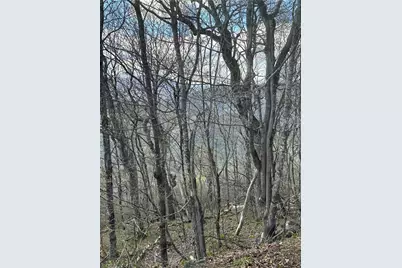 Lot 41 Silver Fox Drive, Blowing Rock, NC 28605 - Photo 2