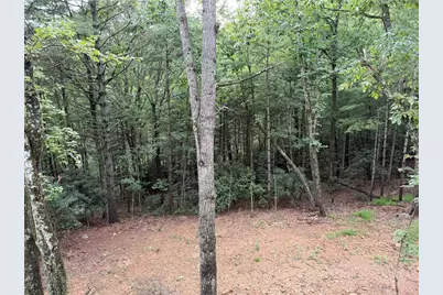 248 Ash Lane, Glade Valley, NC 28627 - Photo 34