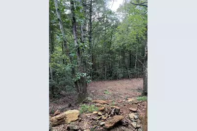 248 Ash Lane, Glade Valley, NC 28627 - Photo 42