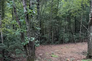 248 Ash Ln, Glade Valley, NC 28627 - Photo 42