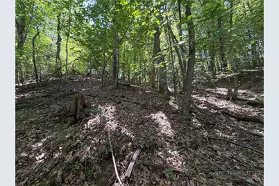 Lot 84 Cedar Road, Fleetwood, NC 28626 - Photo 6