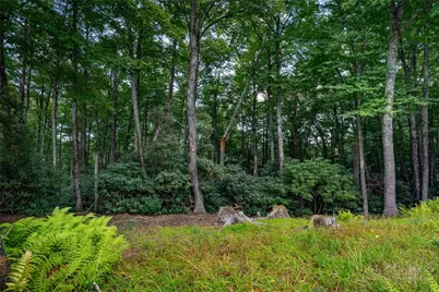 Lots 27 & 28 High Ridge Lane, Blowing Rock, NC 28605 - Photo 4
