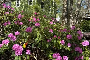 191 Chestnut Dr, Blowing Rock, NC 28605 - Photo 48