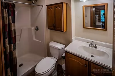 114 Mill Pond Lane, Beech Mountain, NC 28604 - Photo 20