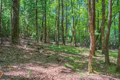 Tbd Country Club Road #44R, Roaring Gap, NC 28668 - Photo 2