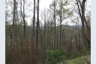Tbd Great Sky Drive, Todd, NC 28684 - Photo 2