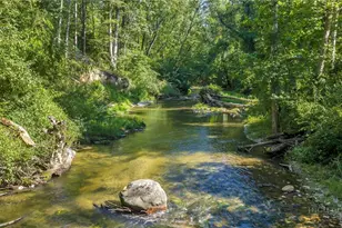 8586 Traphill Rd, Traphill, NC 28685 - Photo 1