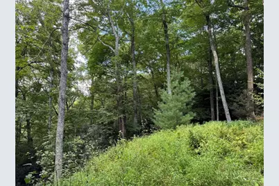 Lot 8 Bear Cub Trail, Boone, NC 28607 - Photo 10