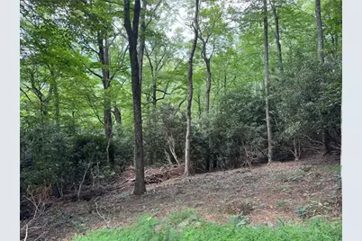 Lot 8 Bear Cub Trail, Boone, NC 28607 - Photo 2