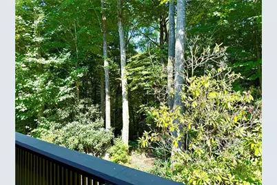 310 Country Lane, Newland, NC 28657 - Photo 42