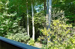 310 Country Ln, Newland, NC 28657 - Photo 42