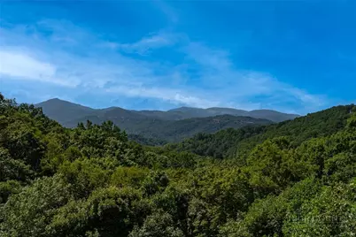 235 Mossy Springs Lane, Boone, NC 28605 - Photo 50