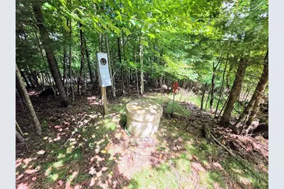 Tbd Pine Springs Dr, Jefferson, NC 28640 - Photo 4