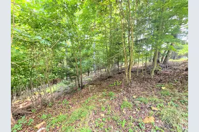Tbd Pine Springs Dr, Jefferson, NC 28640 - Photo 6