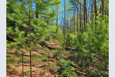 1166 Deer Crossing Lane, Ferguson, NC 28624 - Photo 12