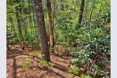 1166 Deer Crossing Lane, Ferguson, NC 28624 - Photo 10