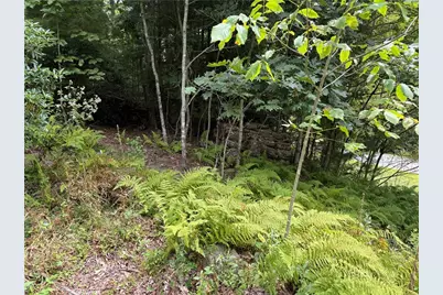 Lot 9 Ledgestone Lane, Boone, NC 28607 - Photo 22